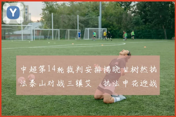 中超第14轮裁判安排揭晓甘树然执法泰山对战三镇艾堃执法申花迎战新鹏城