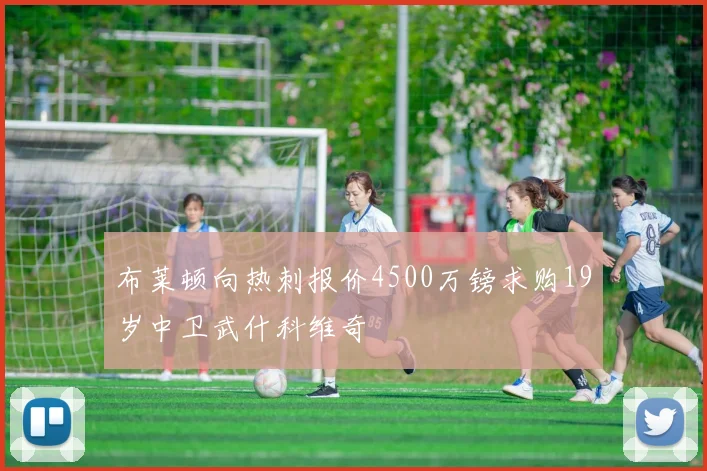 布莱顿向热刺报价4500万镑求购19岁中卫武什科维奇