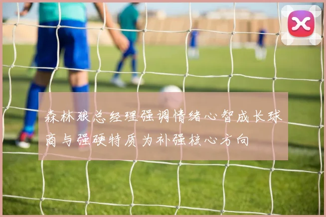 森林狼总经理强调情绪心智成长球商与强硬特质为补强核心方向